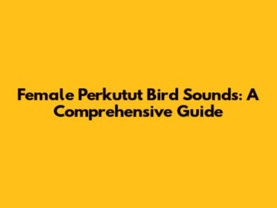 Female Perkutut Bird Sounds: A Comprehensive Guide