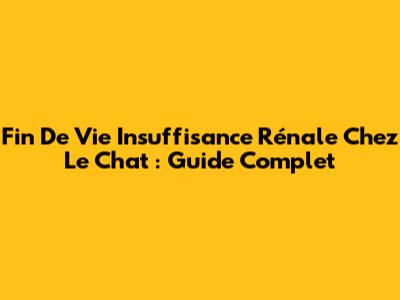 Fin De Vie Insuffisance Rénale Chez Le Chat : Guide Complet
