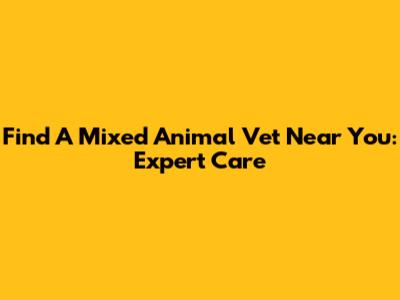 Find A Mixed Animal Vet Near You: Expert Care