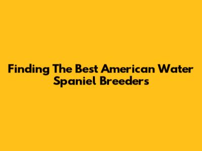 Finding The Best American Water Spaniel Breeders