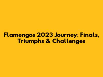 Flamengo's 2023 Journey: Finals, Triumphs & Challenges
