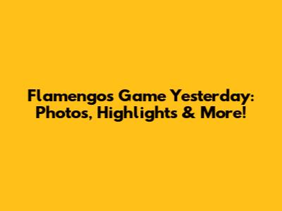 Flamengo's Game Yesterday: Photos, Highlights & More!