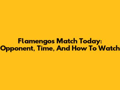 Flamengo's Match Today: Opponent, Time, And How To Watch