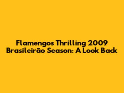 Flamengo's Thrilling 2009 Brasileirão Season: A Look Back