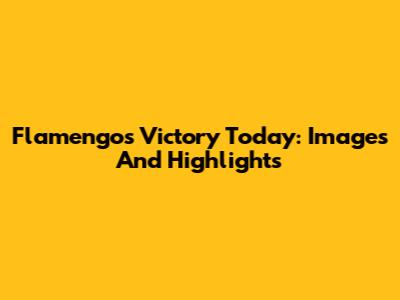 Flamengo's Victory Today: Images And Highlights
