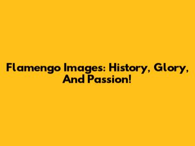 Flamengo Images: History, Glory, And Passion!