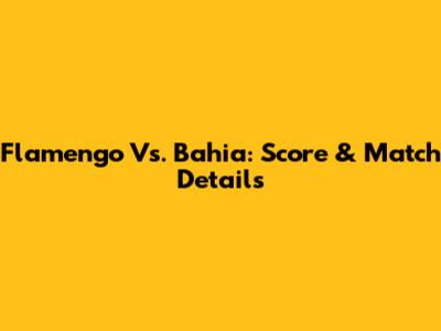 Flamengo Vs. Bahia: Score & Match Details