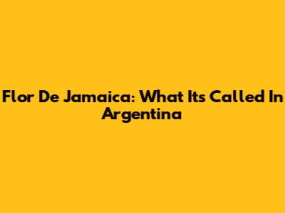 Flor De Jamaica: What It's Called In Argentina