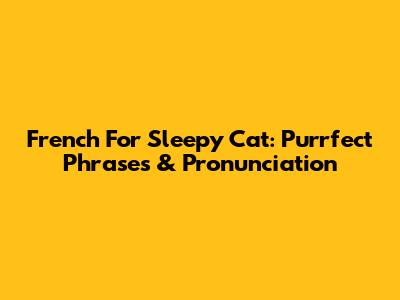 French For Sleepy Cat: Purrfect Phrases & Pronunciation
