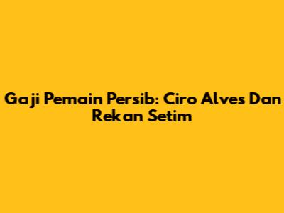 Gaji Pemain Persib: Ciro Alves Dan Rekan Setim