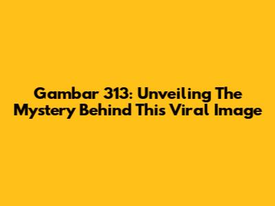 Gambar 313: Unveiling The Mystery Behind This Viral Image