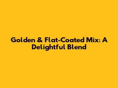 Golden & Flat-Coated Mix: A Delightful Blend