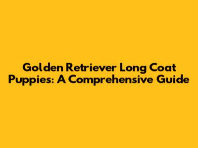 Golden Retriever Long Coat Puppies: A Comprehensive Guide