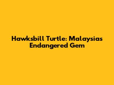 Hawksbill Turtle: Malaysia's Endangered Gem