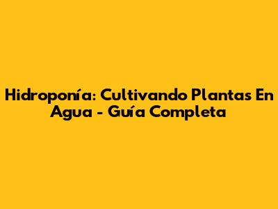Hidroponía: Cultivando Plantas En Agua - Guía Completa