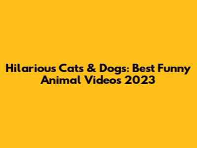 Hilarious Cats & Dogs: Best Funny Animal Videos 2023