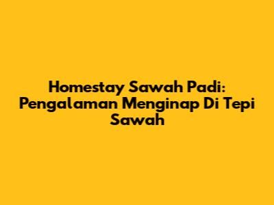 Homestay Sawah Padi: Pengalaman Menginap Di Tepi Sawah