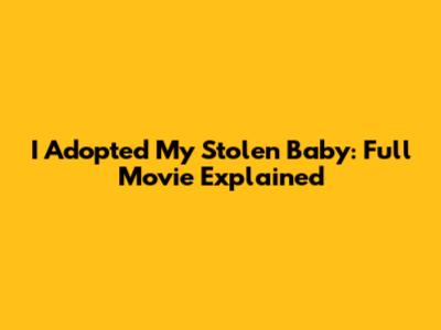 I Adopted My Stolen Baby: Full Movie Explained