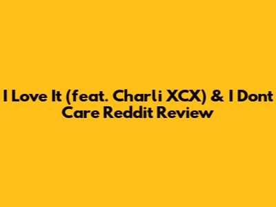 I Love It (feat. Charli XCX) & I Don't Care Reddit Review