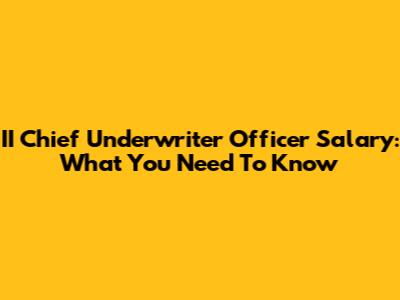 II Chief Underwriter Officer Salary: What You Need To Know
