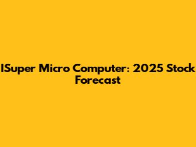 ISuper Micro Computer: 2025 Stock Forecast
