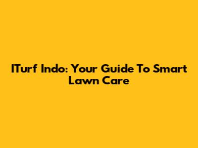 ITurf Indo: Your Guide To Smart Lawn Care