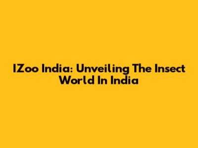 IZoo India: Unveiling The Insect World In India