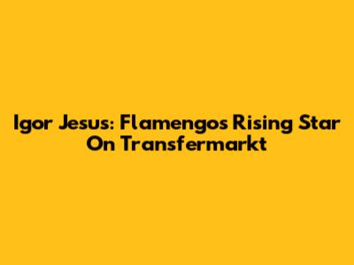 Igor Jesus: Flamengo's Rising Star On Transfermarkt