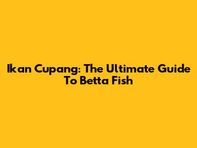 Ikan Cupang: The Ultimate Guide To Betta Fish