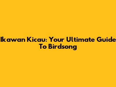 Ikawan Kicau: Your Ultimate Guide To Birdsong