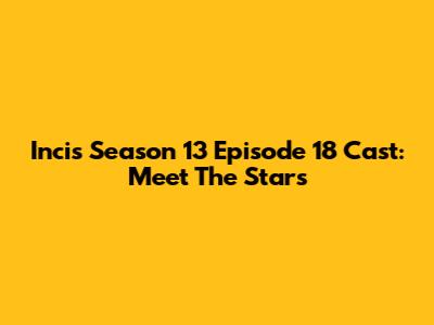 Incis Season 13 Episode 18 Cast: Meet The Stars