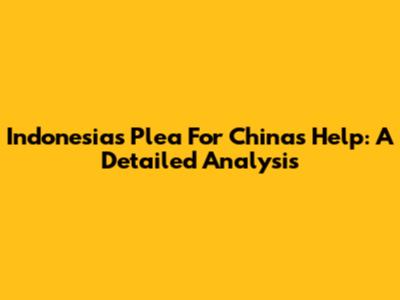Indonesia's Plea For China's Help: A Detailed Analysis
