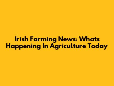Irish Farming News: What's Happening In Agriculture Today