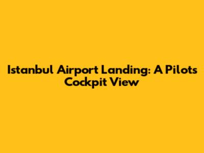 Istanbul Airport Landing: A Pilot's Cockpit View