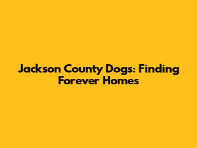Jackson County Dogs: Finding Forever Homes