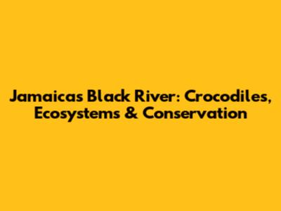 Jamaica's Black River: Crocodiles, Ecosystems & Conservation