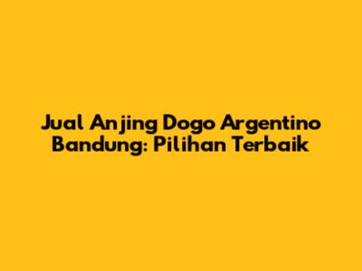 Jual Anjing Dogo Argentino Bandung: Pilihan Terbaik