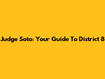 Judge Soto: Your Guide To District 8