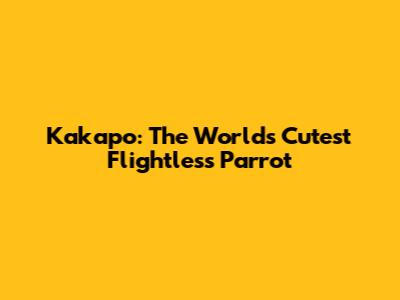 Kakapo: The World's Cutest Flightless Parrot