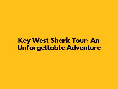 Key West Shark Tour: An Unforgettable Adventure
