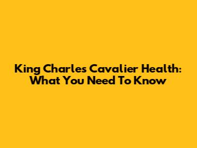 King Charles Cavalier Health: What You Need To Know