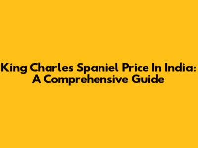 King Charles Spaniel Price In India: A Comprehensive Guide