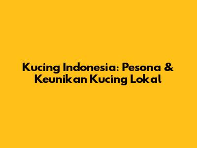 Kucing Indonesia: Pesona & Keunikan Kucing Lokal