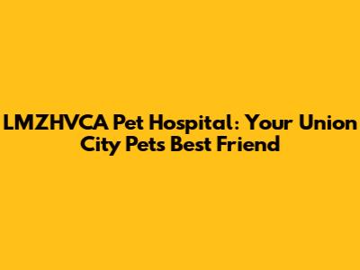 LMZHVCA Pet Hospital: Your Union City Pet's Best Friend