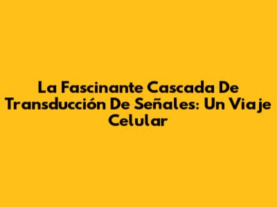 La Fascinante Cascada De Transducción De Señales: Un Viaje Celular