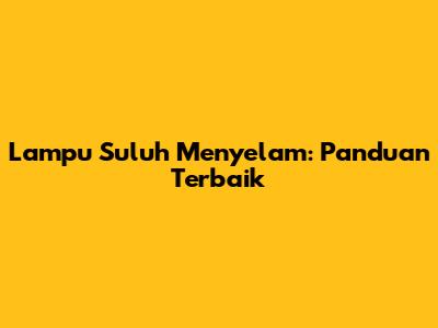 Lampu Suluh Menyelam: Panduan Terbaik