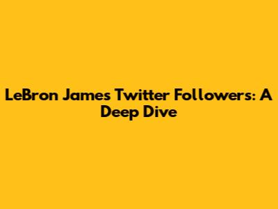 LeBron James' Twitter Followers: A Deep Dive