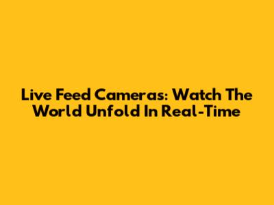 Live Feed Cameras: Watch The World Unfold In Real-Time