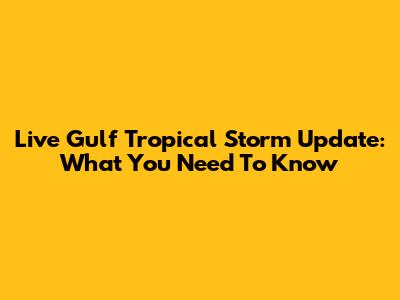 Live Gulf Tropical Storm Update: What You Need To Know