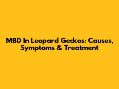 MBD In Leopard Geckos: Causes, Symptoms & Treatment